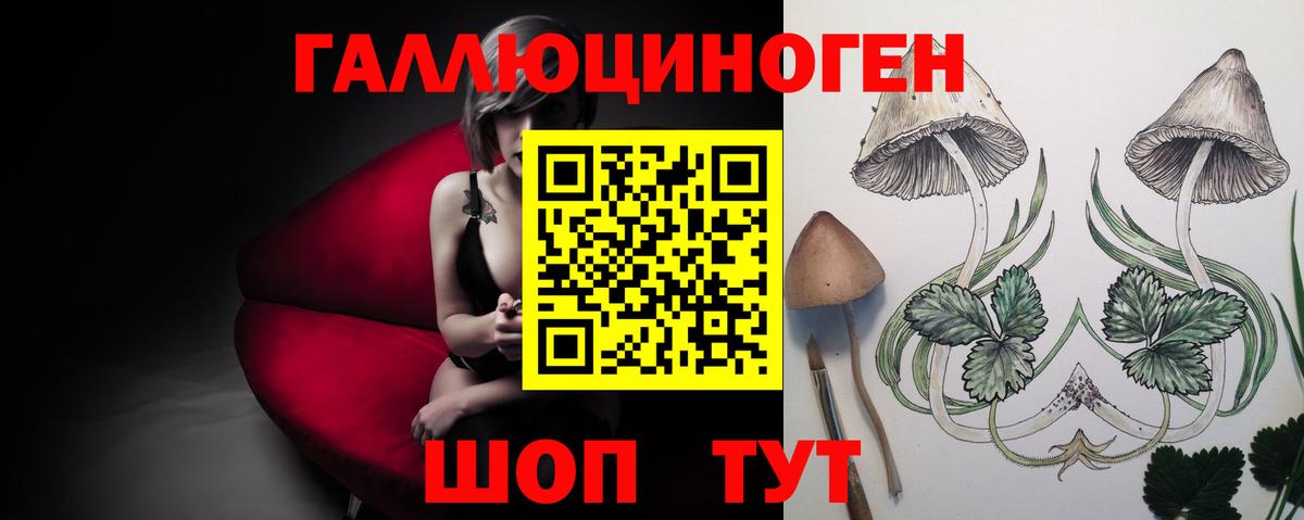 Галлюциногенные грибы Cubensis Отрадный